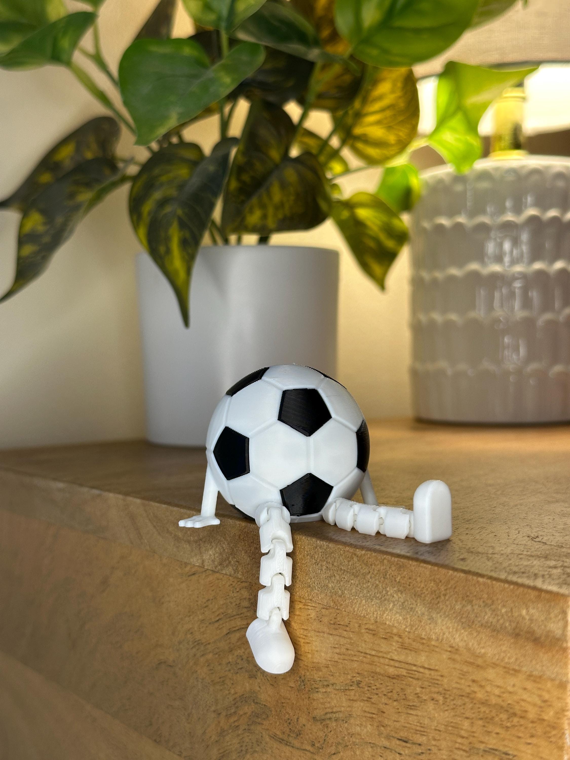 Soccer Desk Decor - Soccer Ball Buddy